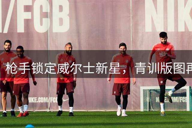 枪手锁定威尔士新星，青训版图再添猛将
