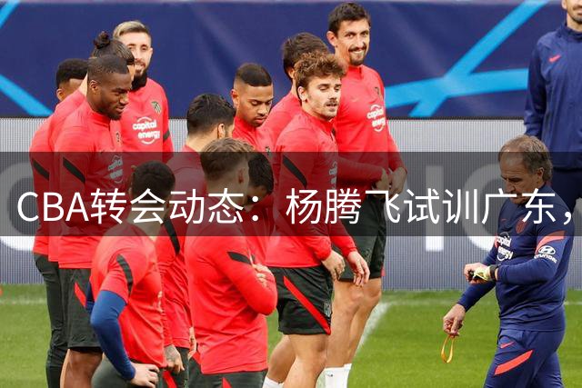 CBA转会动态：杨腾飞试训广东，黄明依或成交易关键？
